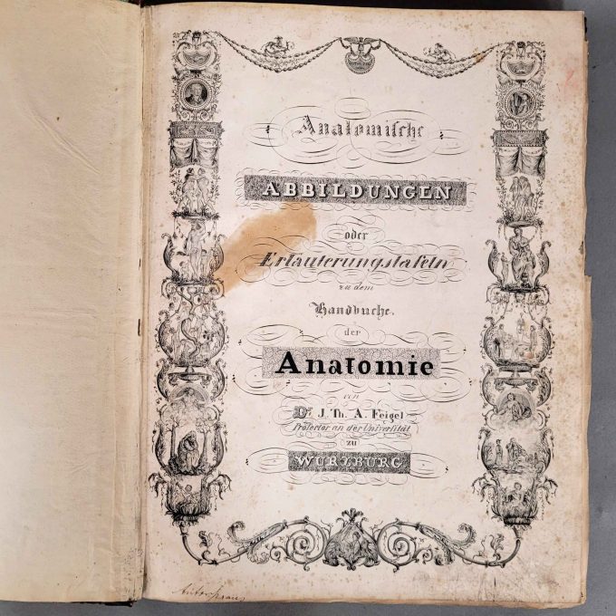 Los 46: FEIGEL, Johann Theodor Anton: Anatomische Abbildungen oder Erläuterungstafeln zu dem Handbuche der Anatomie