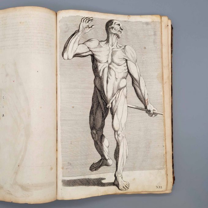 Los 38: PREIßLER Johann Daniel: L'anatomia dei pittori del Signore Carlo Cesio - Das ist deutliche Anweisung und gründliche Vorstellung von der Anatomie der Mahler – Bild 2