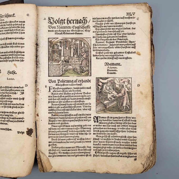 Los 4: ROESSLIN, Eucharius: Kreuterbuch von aller Kreuter, Gethier, Gesteine und Metal, Natur, nutz und gebrauch – Bild 2