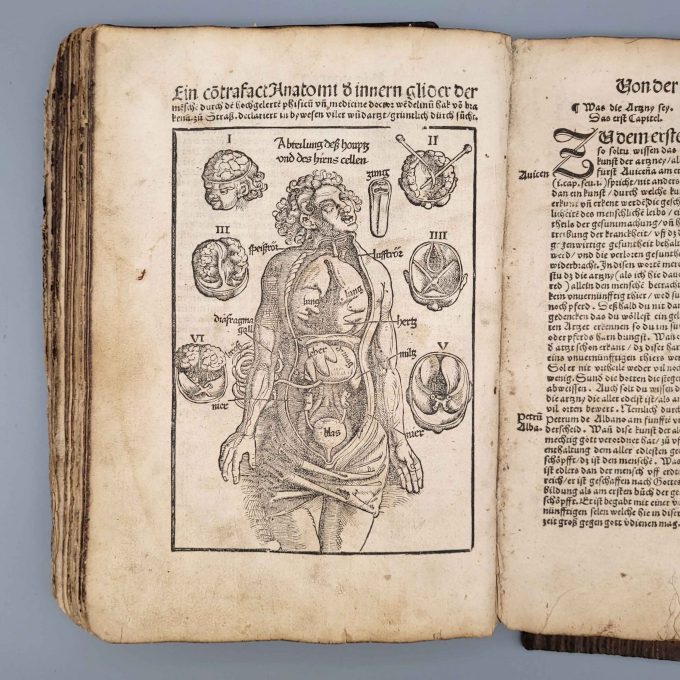 Los 4: ROESSLIN, Eucharius: Kreuterbuch von aller Kreuter, Gethier, Gesteine und Metal, Natur, nutz und gebrauch – Bild 4