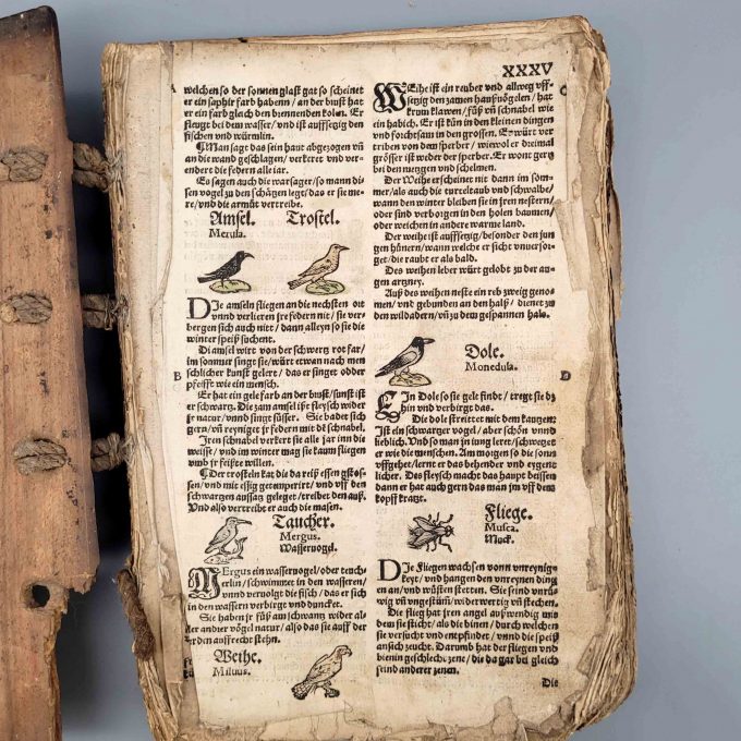 Los 4: ROESSLIN, Eucharius: Kreuterbuch von aller Kreuter, Gethier, Gesteine und Metal, Natur, nutz und gebrauch