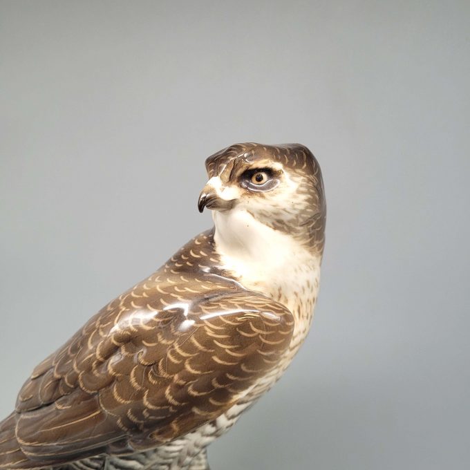 Los 106: Sperber – Bild 2