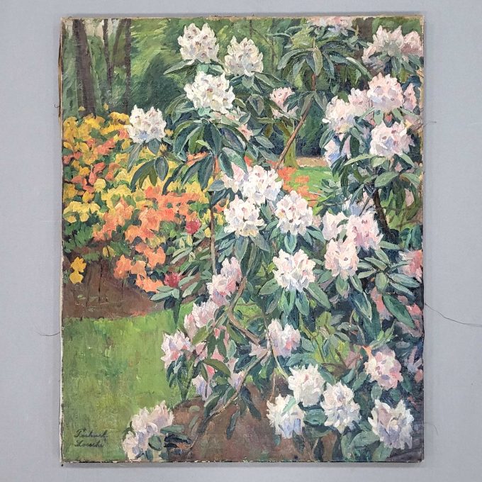 Los 148: PECHUEL-LOESCHE, William: Rhododendron im Sommergarten