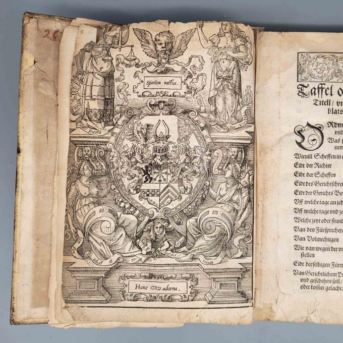 Los 22: Ordnung und Reformation des Gerichtlichen Proceß – Bild 2
