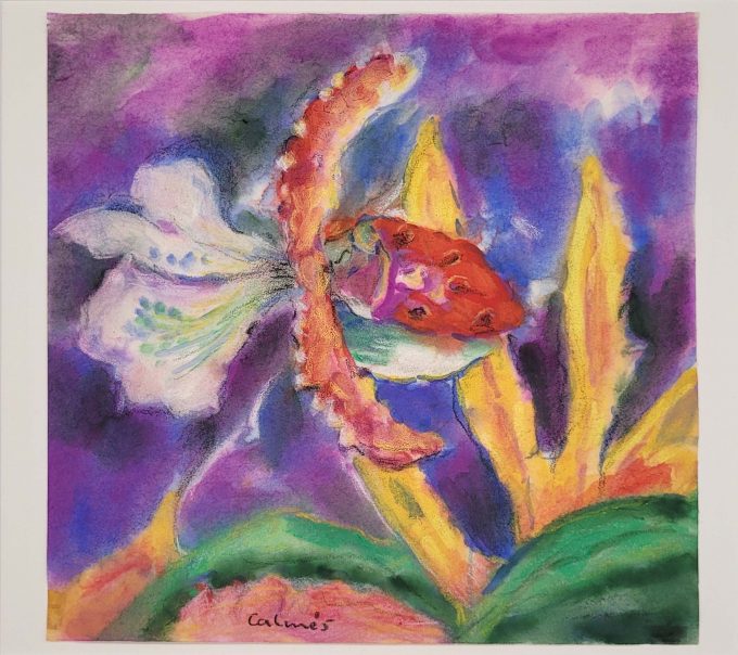 Los 553: CALMÉS, Peter: Orchidee – Bild 2