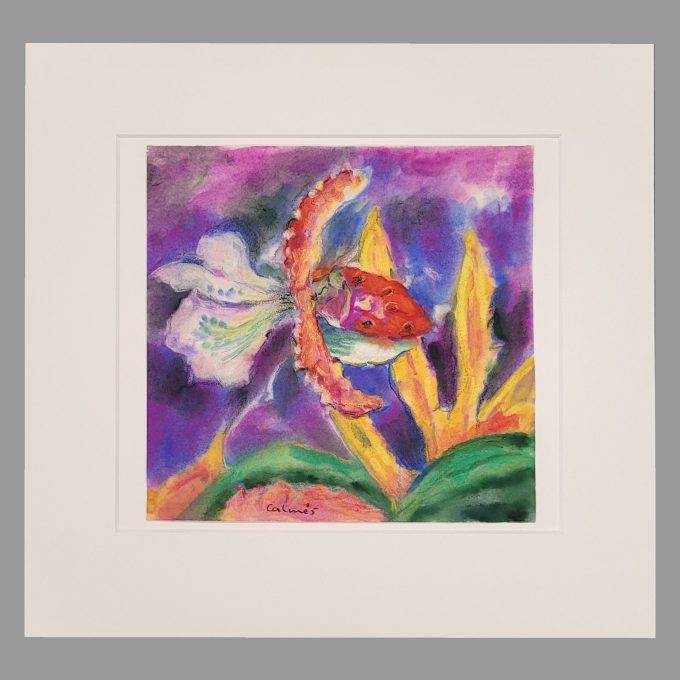 Los 553: CALMÉS, Peter: Orchidee