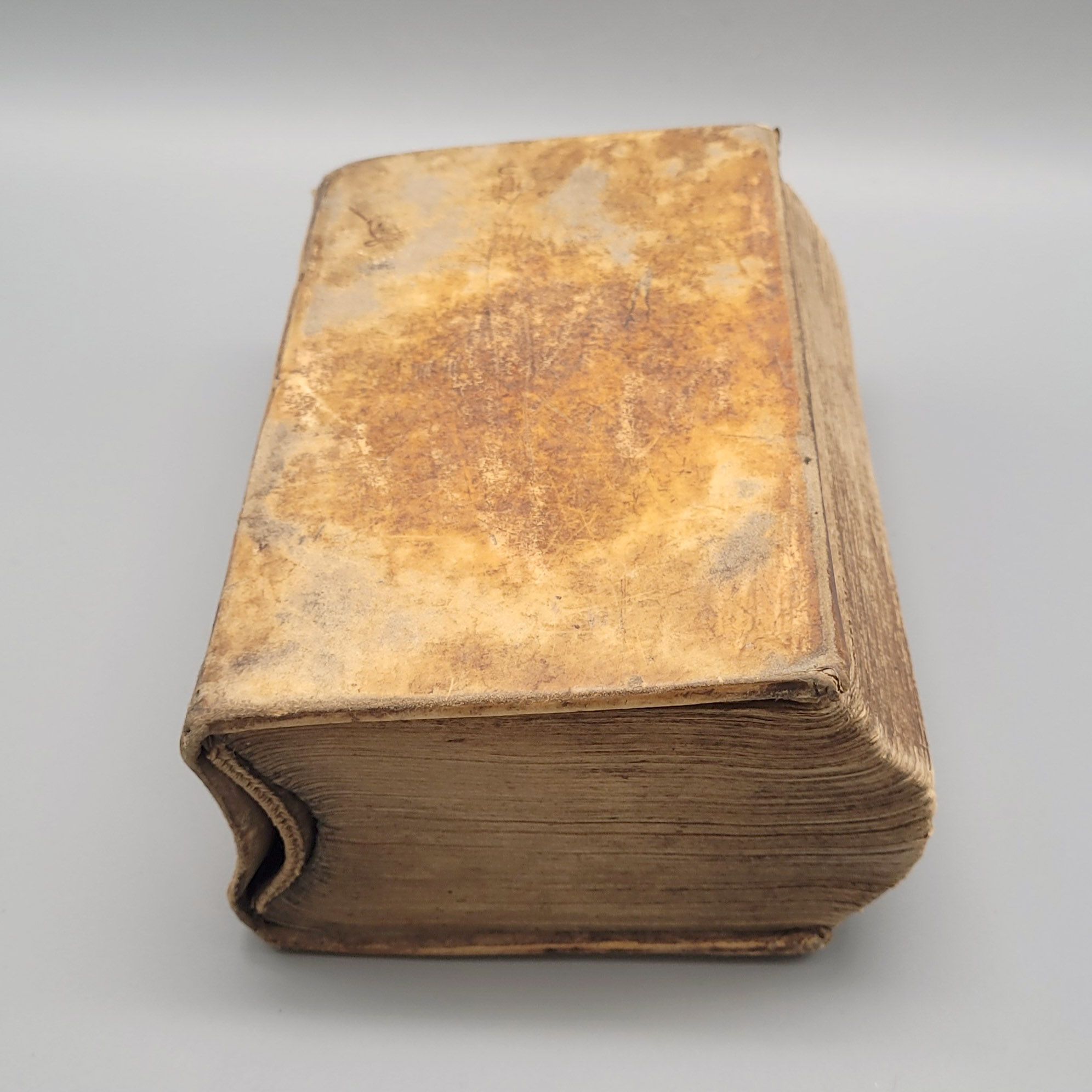 Los 17: TROILO, Franz Ferdinand von: Orientalische Reise wie dieselbe aus Teutschland über Venedig durch das Königreich Cypern nach dem gelobten Lande…. – Bild 3