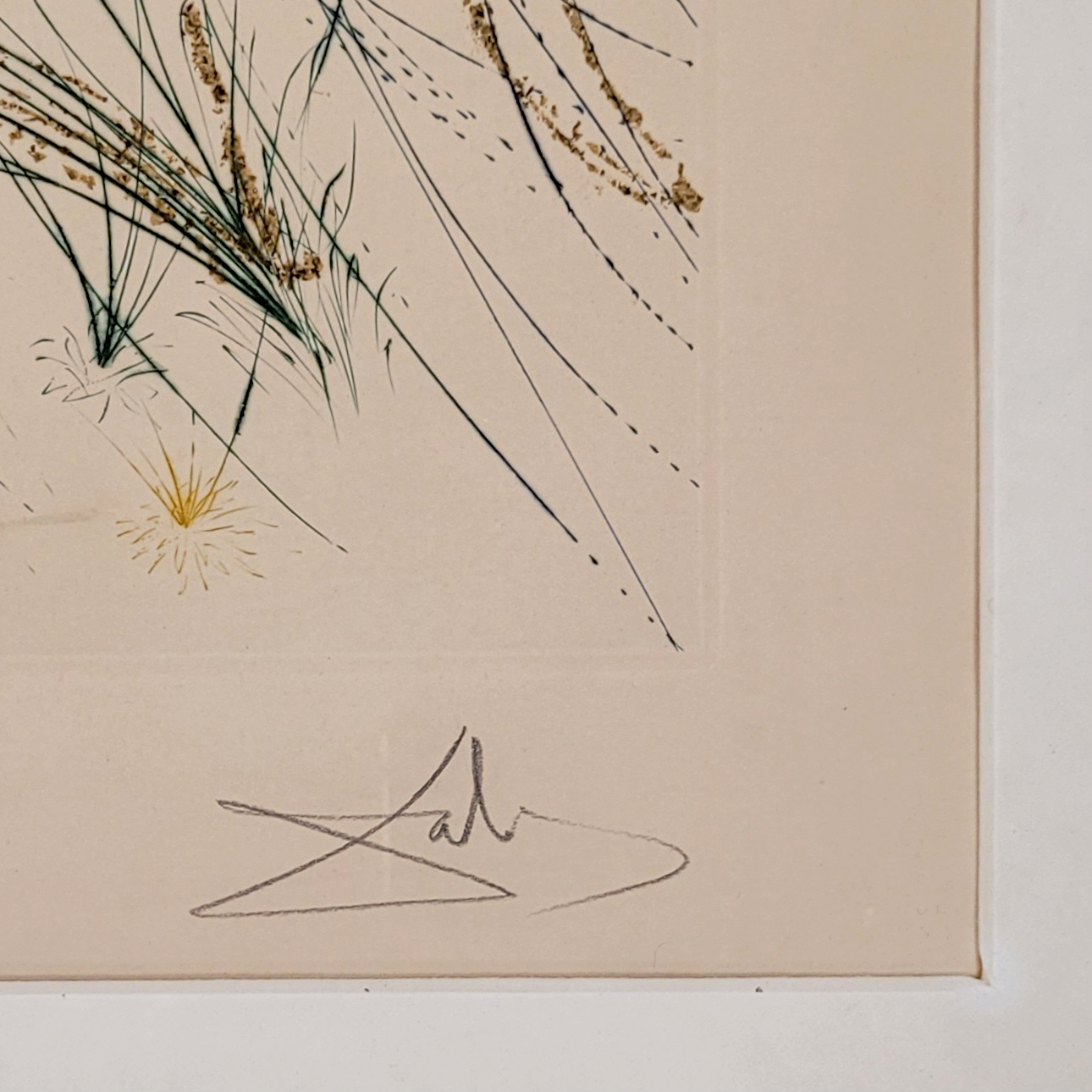 Los 502: DALI, Salvador: Der Geliebte weidet zwischen den Lilien – Bild 3