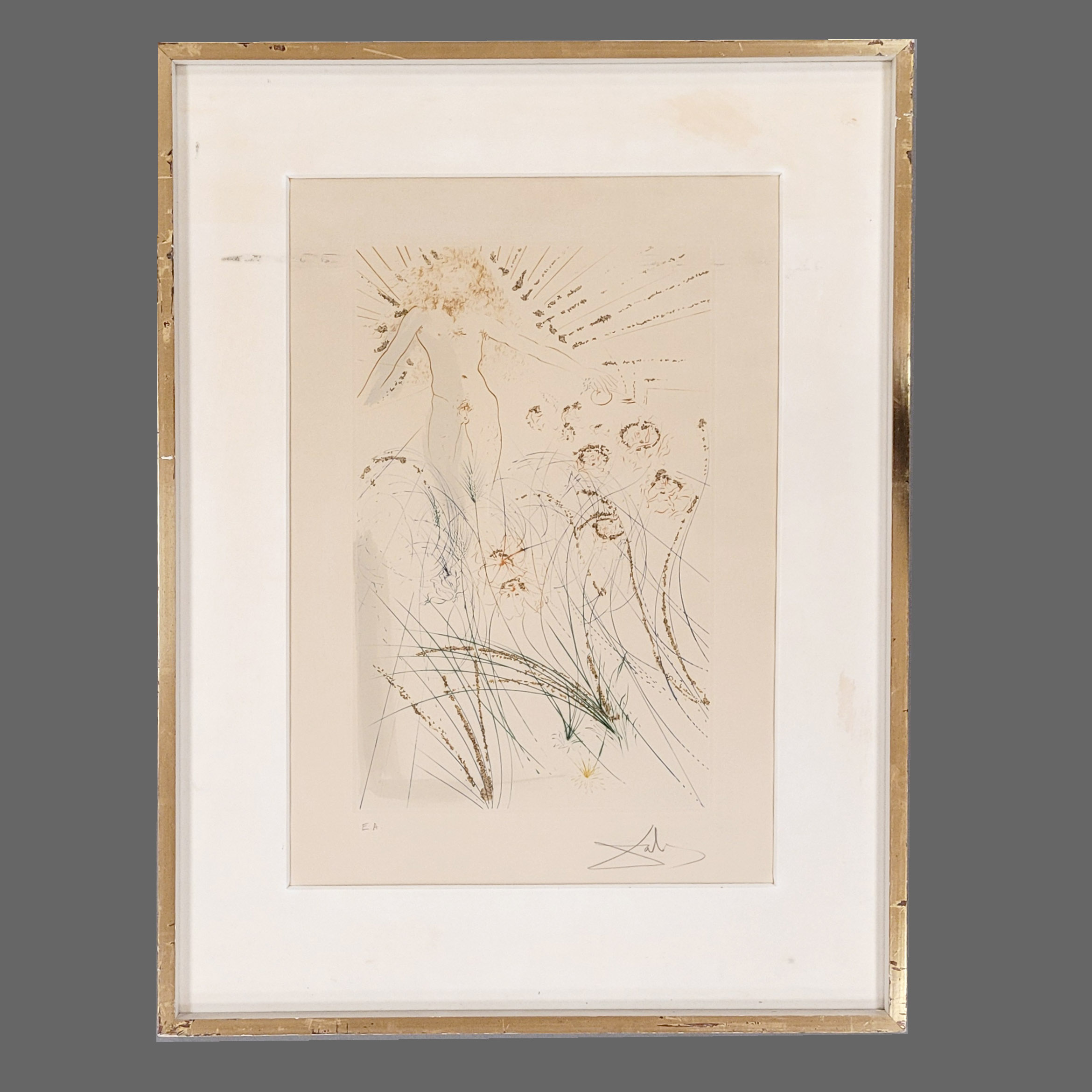 Los 502: DALI, Salvador: Der Geliebte weidet zwischen den Lilien