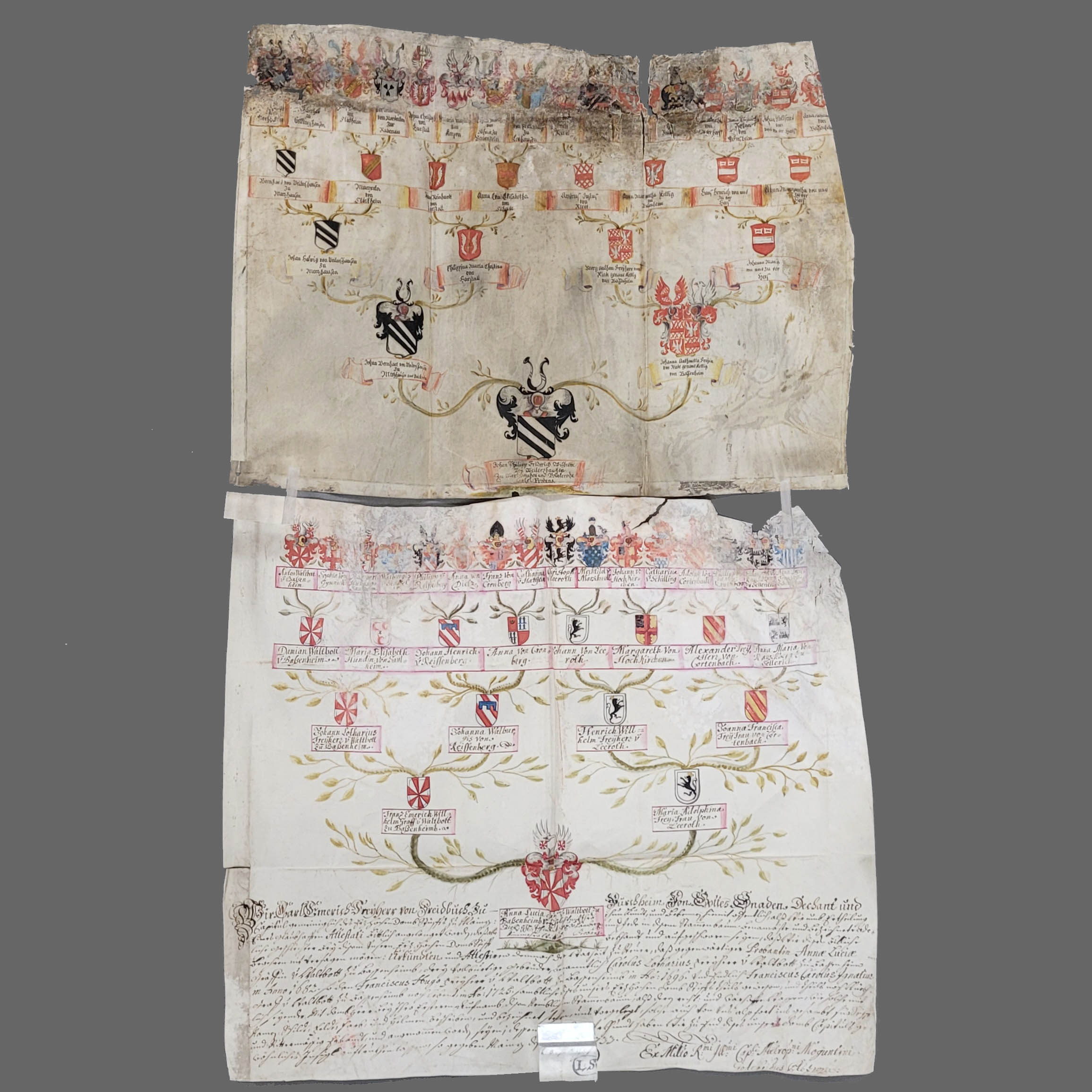 Los 76: Zwei Abstammungstafeln – Bild 2