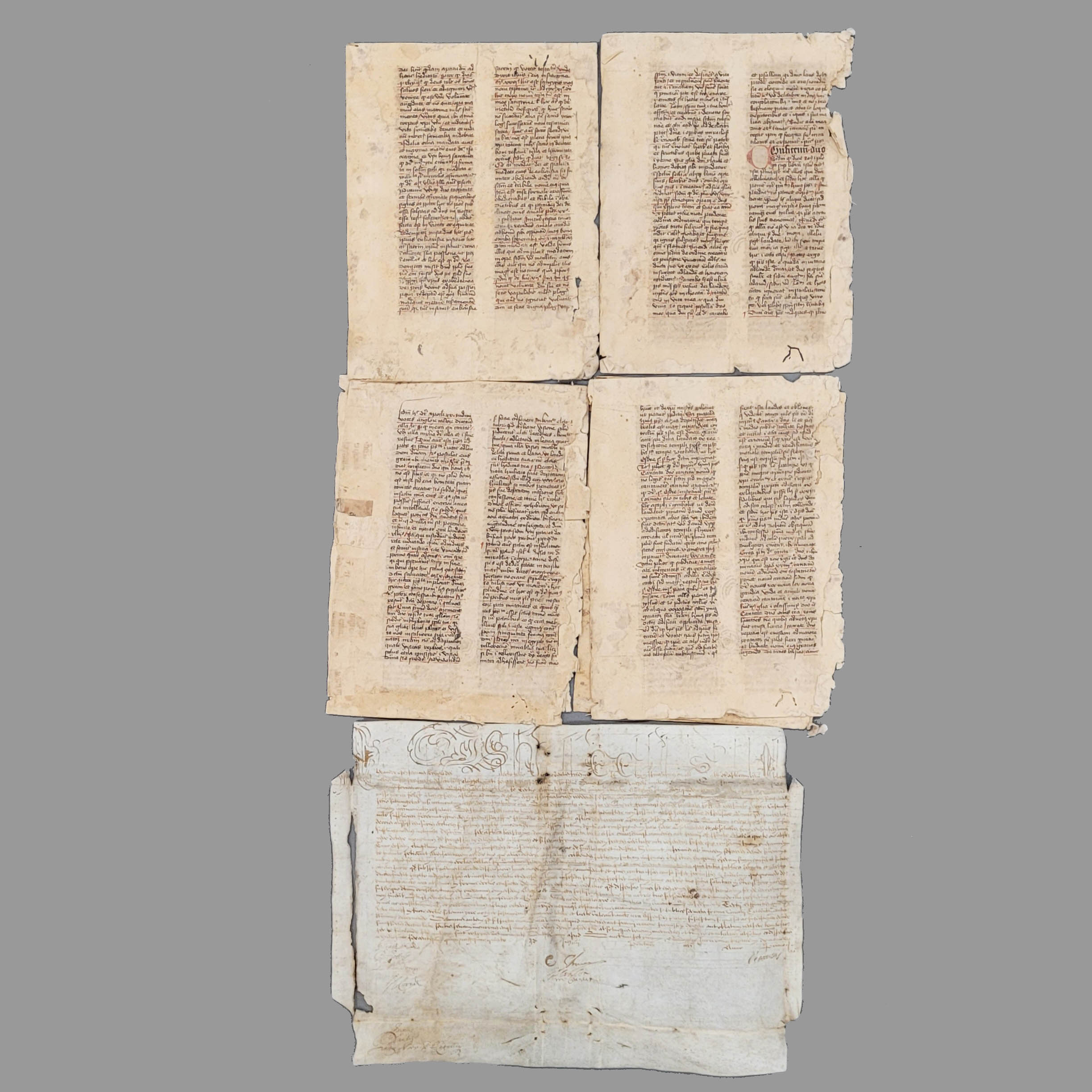 Los 76: Zwei Abstammungstafeln – Bild 3