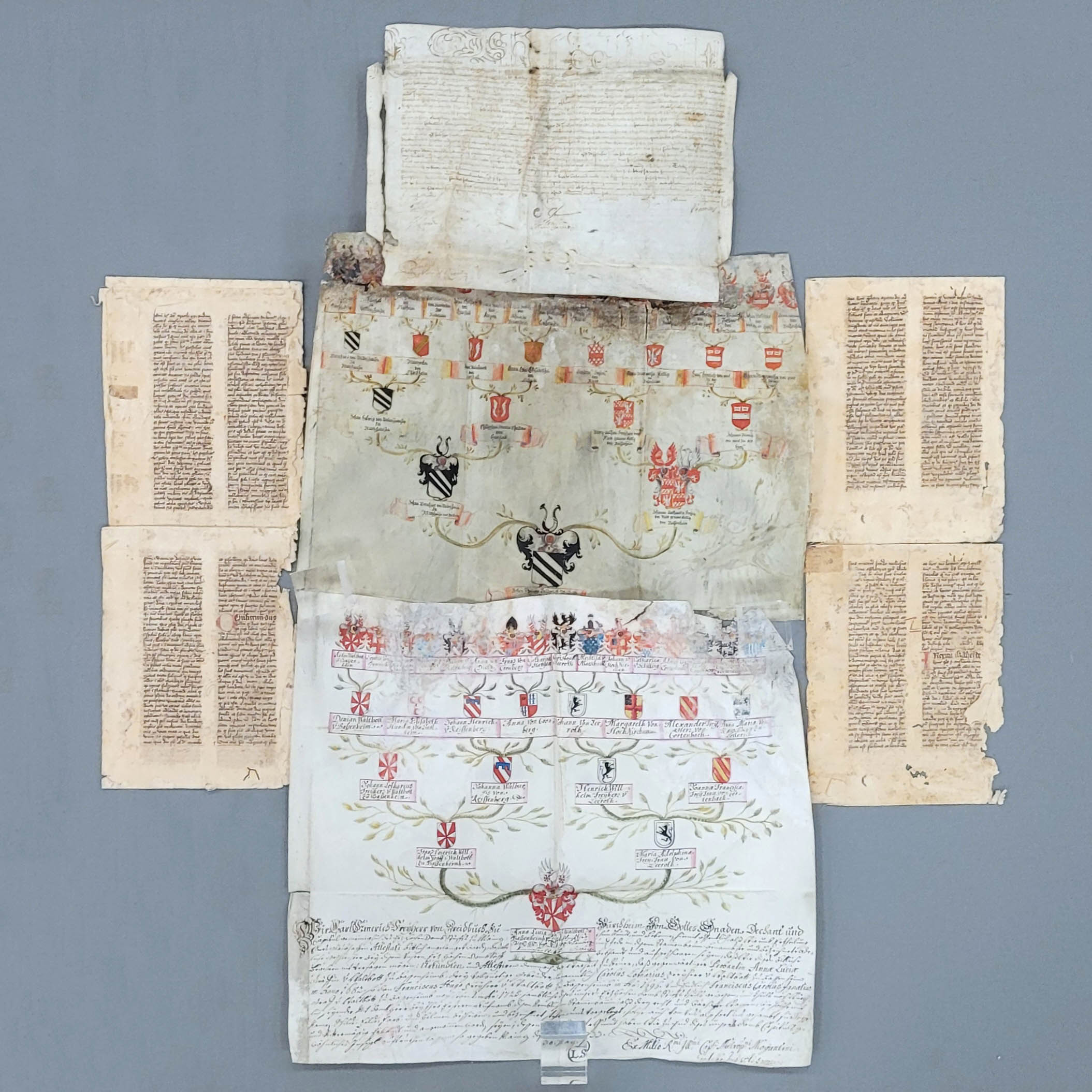 Los 76: Zwei Abstammungstafeln